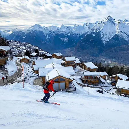 Sunny In For 10 Guests Chalet