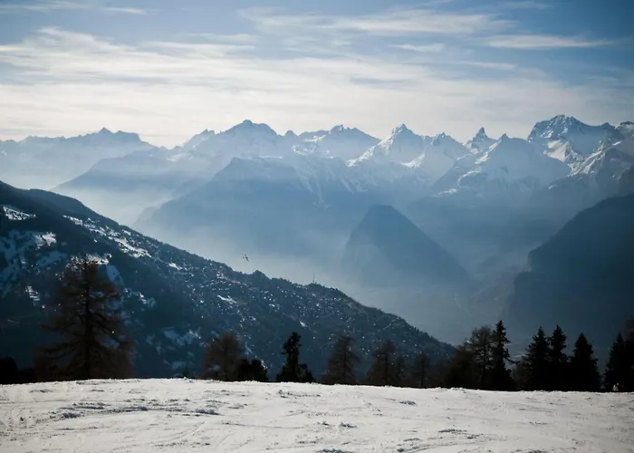 Sunny In For 10 Guests *